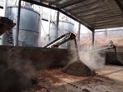 養(yǎng)殖廠豬糞如何處理？前期投入大不大？一篇文章為您答疑解惑